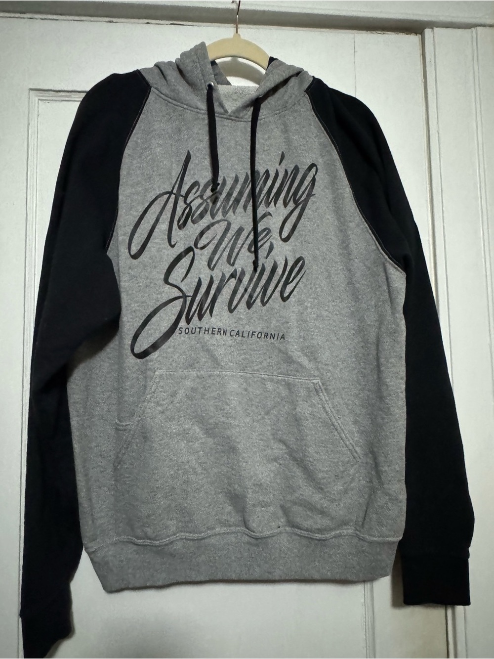 Assuming We Survive Hoodie Large Band Merch